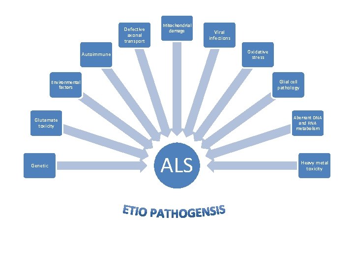 Defective axonal transport Mitochondrial damage Oxidative stress Autoimmune Glial cell pathology Environmental factors Aberrant