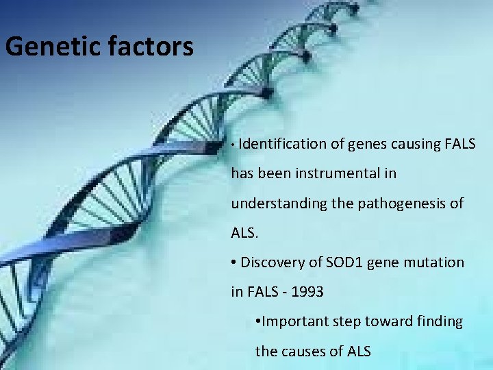 Genetic factors • Identification of genes causing FALS has been instrumental in understanding the