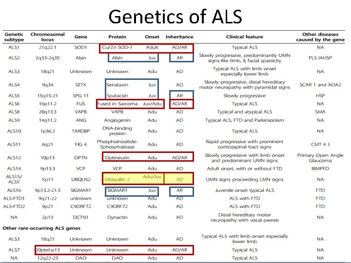 Genetics of ALS 