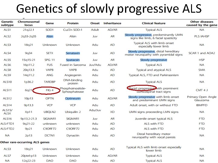 Genetics of slowly progressive ALS 