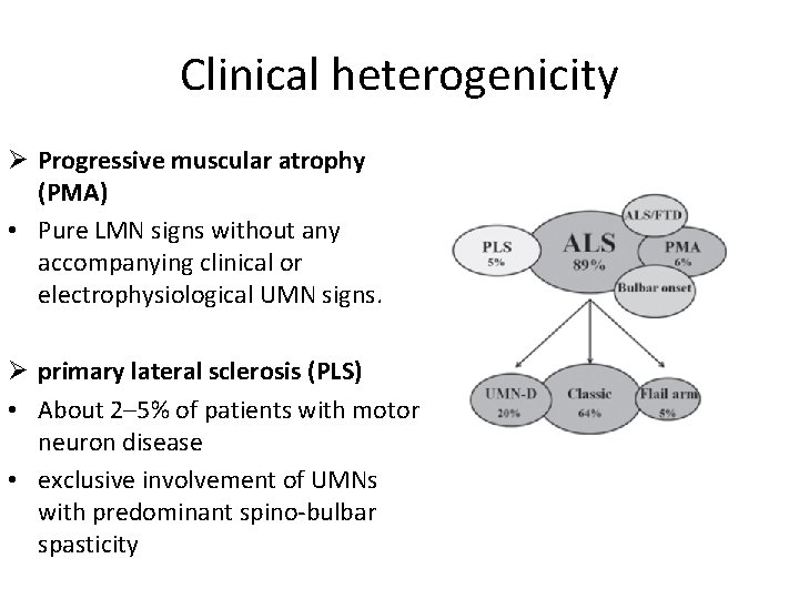 Clinical heterogenicity Ø Progressive muscular atrophy (PMA) • Pure LMN signs without any accompanying