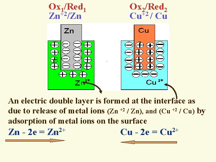 Ox 1/Red 1 Ox 2/Red 2 Zn+2/Zn Cu+2 / Cu An electric double layer