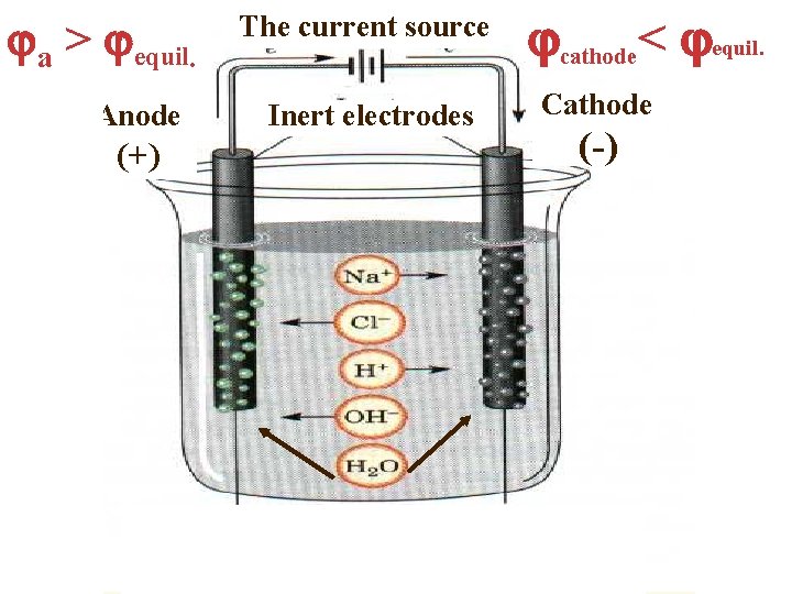  а > equil. Anode (+) The current source Inert electrodes cathode< equil. Cathode