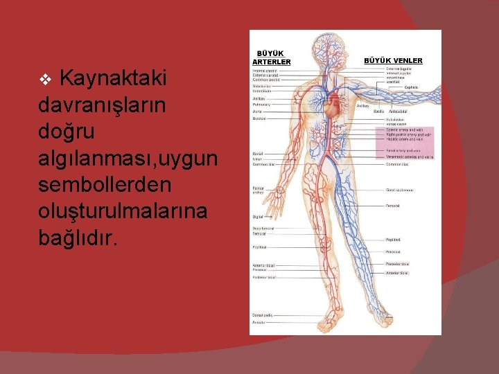 Kaynaktaki davranışların doğru algılanması, uygun sembollerden oluşturulmalarına bağlıdır. v 