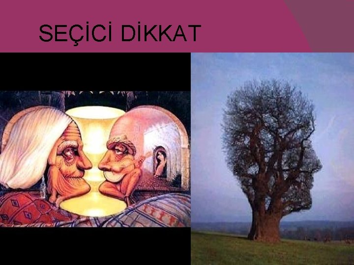 SEÇİCİ DİKKAT 