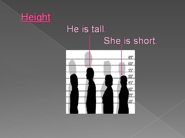 Height He is tall. She is short. 