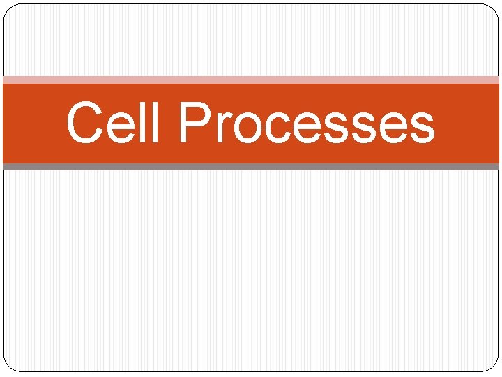 Cell Processes 