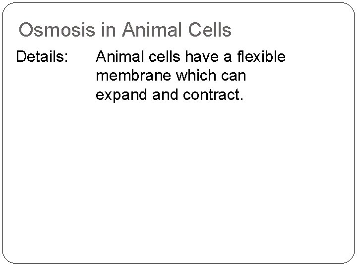 Osmosis in Animal Cells Details: Animal cells have a flexible membrane which can expand