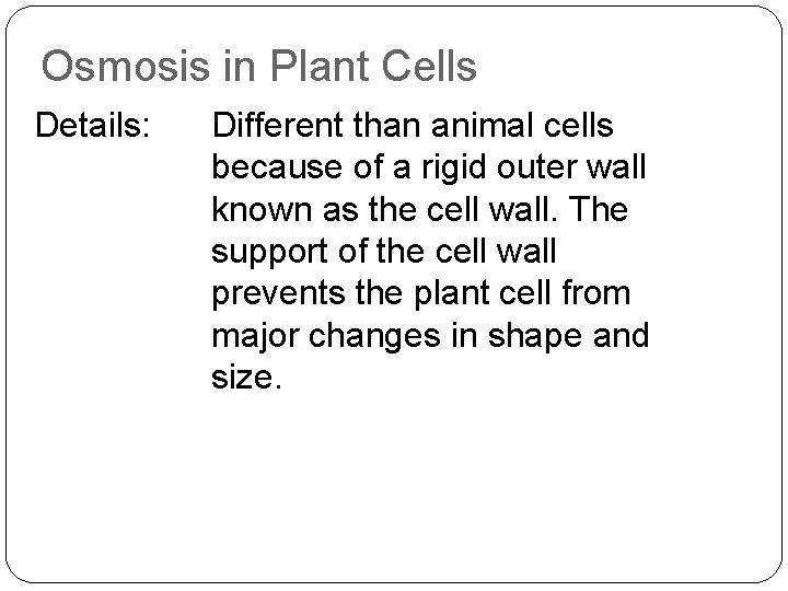 Osmosis in Plant Cells Details: Different than animal cells because of a rigid outer