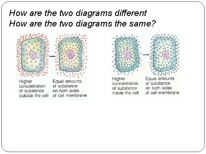 How are the two diagrams different How are the two diagrams the same? 