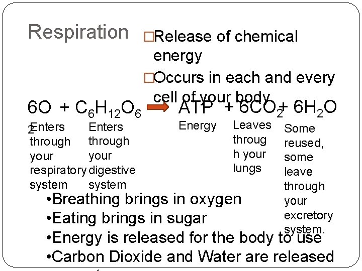 Respiration 6 O + C 6 H 12 O 6 Enters 2 Enters through