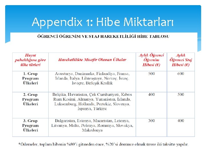 Appendix 1: Hibe Miktarları 