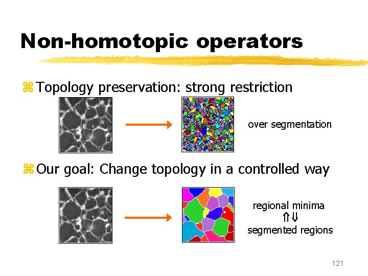 Non-homotopic operators z Topology preservation: strong restriction over segmentation z Our goal: Change topology