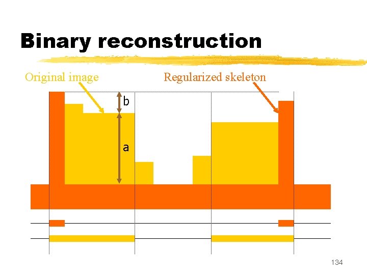 Binary reconstruction Original image Regularized skeleton b a 134 