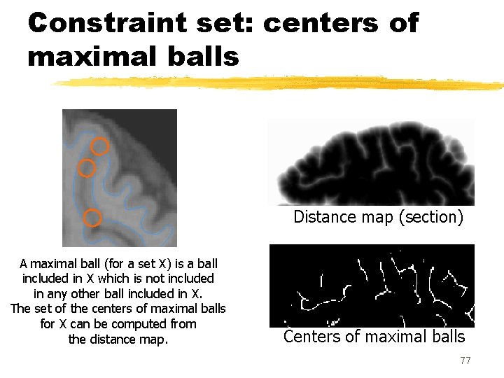 Constraint set: centers of maximal balls Distance map (section) A maximal ball (for a