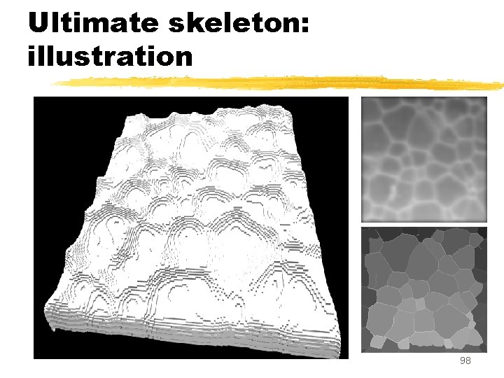 Ultimate skeleton: illustration 98 