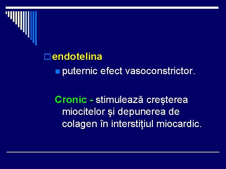 o endotelina n puternic efect vasoconstrictor. Cronic - stimulează creşterea miocitelor şi depunerea de o endotelina n puternic efect vasoconstrictor. Cronic - stimulează creşterea miocitelor şi depunerea de