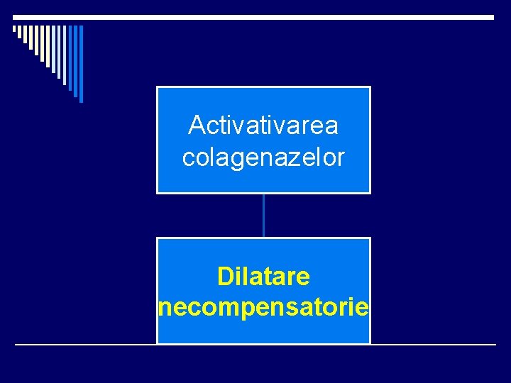 Activarea colagenazelor Dilatare necompensatorie Activarea colagenazelor Dilatare necompensatorie