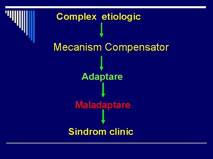 Complex etiologic Res Mecanism Compensator Adaptare Maladaptare Sindrom clinic Complex etiologic Res Mecanism Compensator Adaptare Maladaptare Sindrom clinic