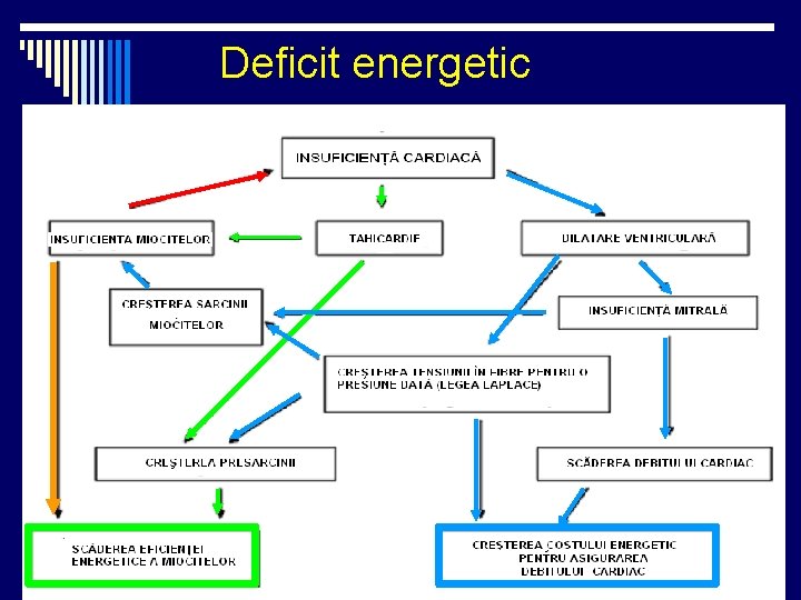 Deficit energetic Deficit energetic