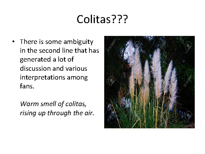 Colitas? ? ? • There is some ambiguity in the second line that has Colitas? ? ? • There is some ambiguity in the second line that has