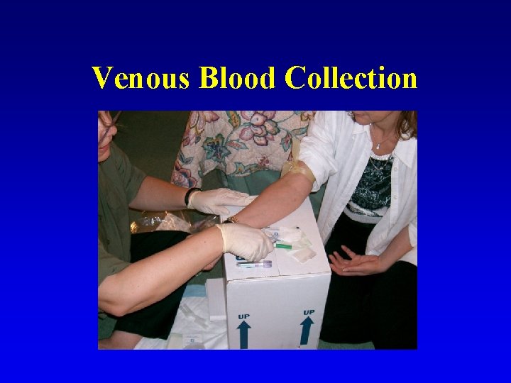 Venous Blood Collection 