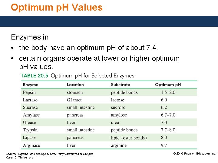 Optimum p. H Values Enzymes in • the body have an optimum p. H