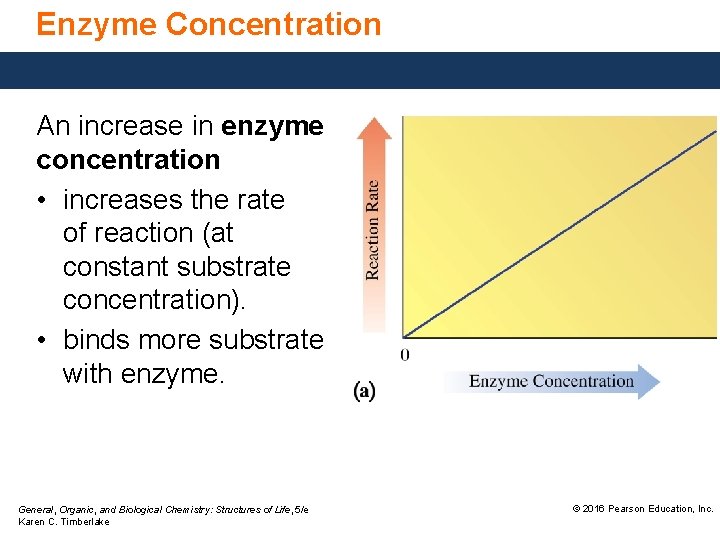 Enzyme Concentration An increase in enzyme concentration • increases the rate of reaction (at