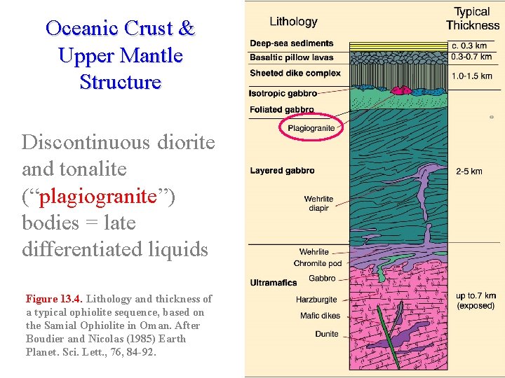 Oceanic Crust & Upper Mantle Structure Discontinuous diorite and tonalite (“plagiogranite”) bodies = late