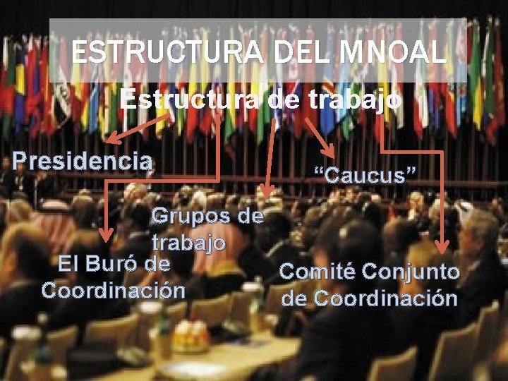 ESTRUCTURA DEL MNOAL Estructura de trabajo Presidencia “Caucus” Grupos de trabajo El Buró de