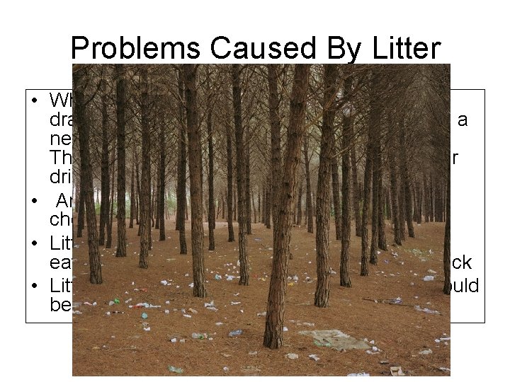 Problems Caused By Litter • When litter ends up on sidewalks or in storm