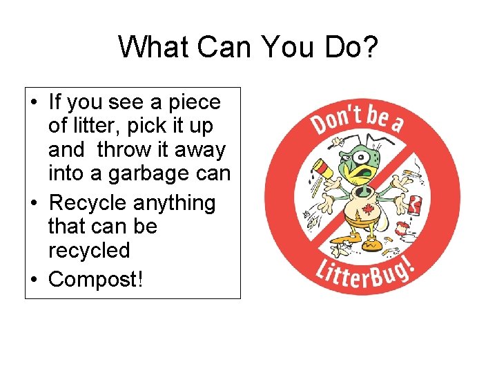 What Can You Do? • If you see a piece of litter, pick it