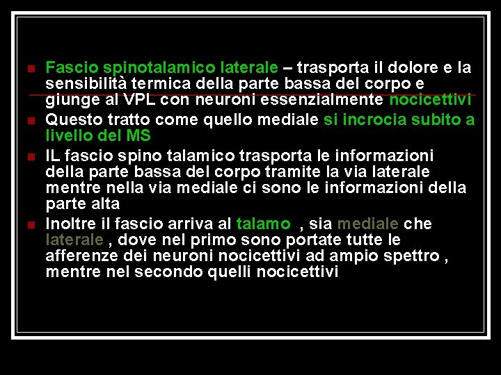 n n Fascio spinotalamico laterale – trasporta il dolore e la sensibilità termica della