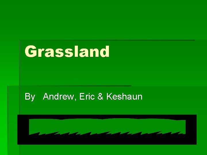 Grassland By Andrew, Eric & Keshaun 