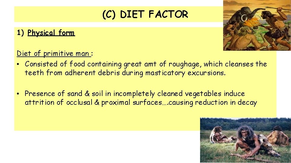 (C) DIET FACTOR 1) Physical form Diet of primitive man : • Consisted of