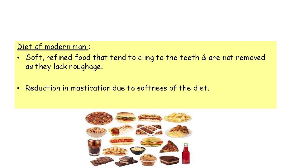 Diet of modern man : • Soft, refined food that tend to cling to