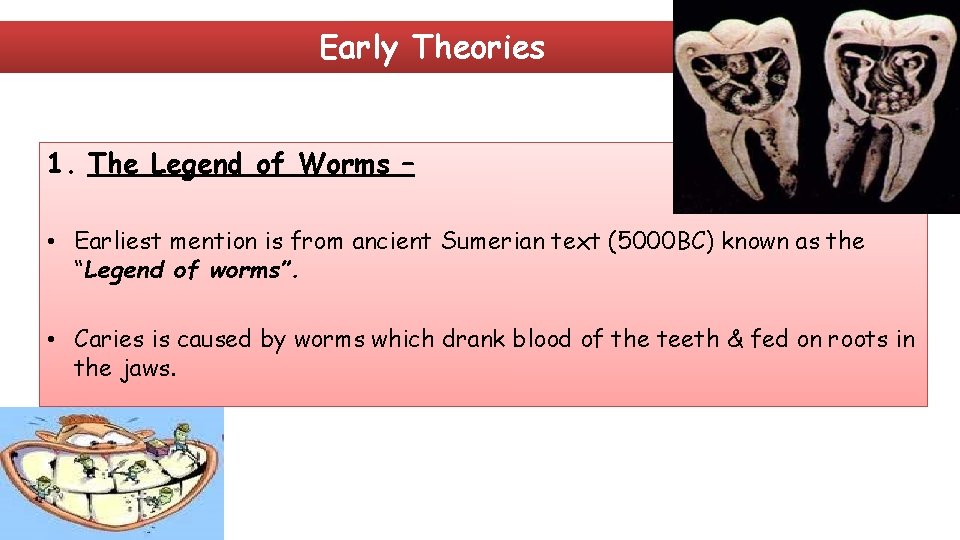 Early Theories 1. The Legend of Worms – • Earliest mention is from ancient