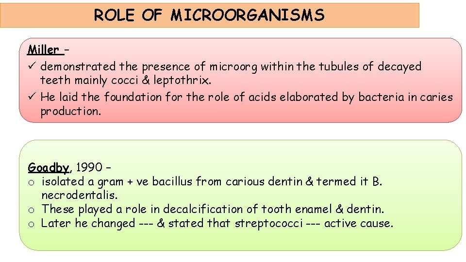 ROLE OF MICROORGANISMS Miller – ü demonstrated the presence of microorg within the tubules