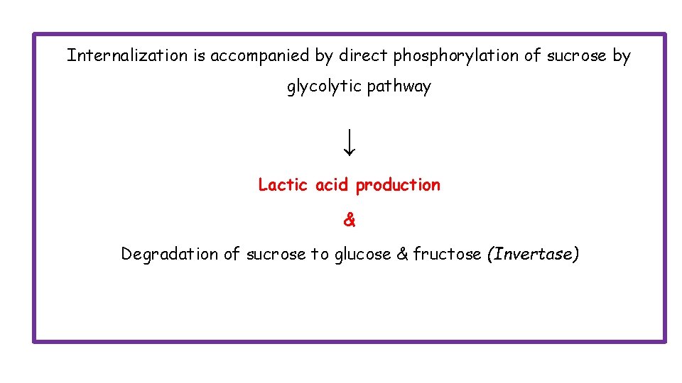 Internalization is accompanied by direct phosphorylation of sucrose by glycolytic pathway ↓ Lactic acid