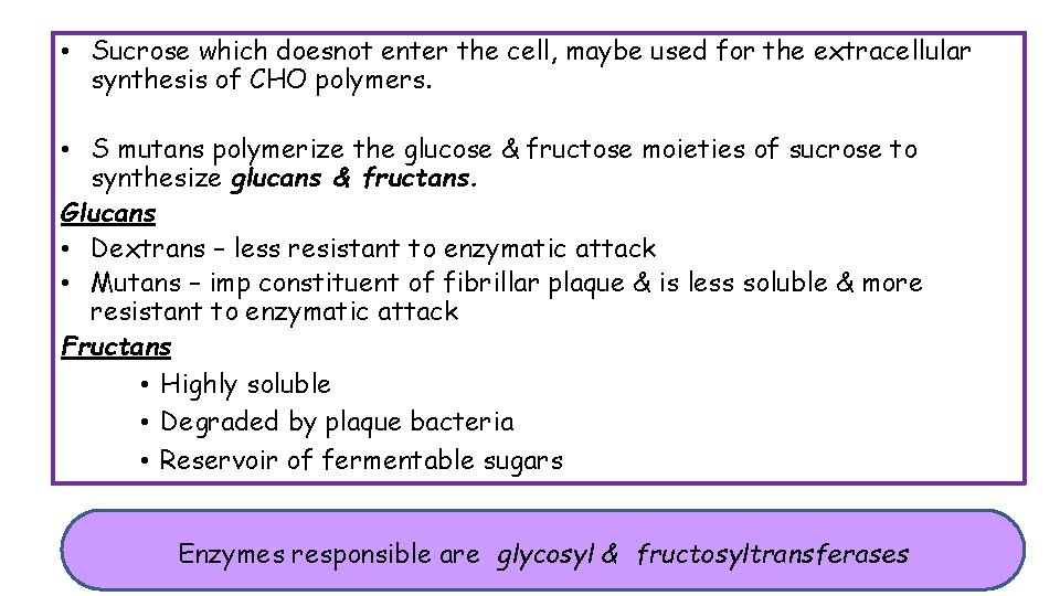  • Sucrose which doesnot enter the cell, maybe used for the extracellular synthesis