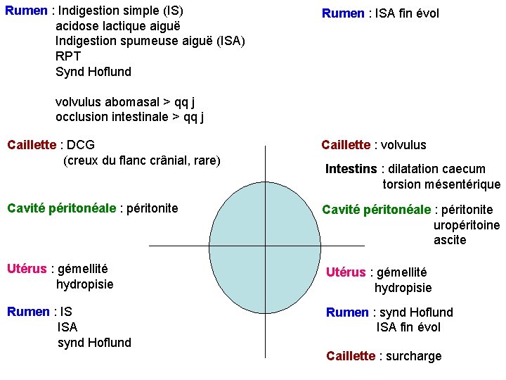 Rumen : Indigestion simple (IS) acidose lactique aiguë Indigestion spumeuse aiguë (ISA) RPT Synd