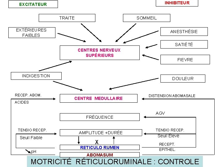 INHIBITEUR EXCITATEUR TRAITE SOMMEIL EXTÉRIEURES FAIBLES ANESTHÉSIE SATIÉTÉ CENTRES NERVEUX SUPÉRIEURS FIEVRE INDIGESTION RECEP.