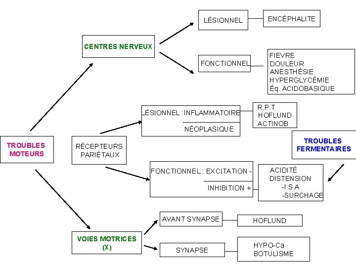 LÉSIONNEL ENCÉPHALITE CENTRES NERVEUX FIEVRE FONCTIONNEL DOULEUR ANESTHÉSIE HYPERGLYCÉMIE Éq. ACIDOBASIQUE LÉSIONNEL : INFLAMMATOIRE