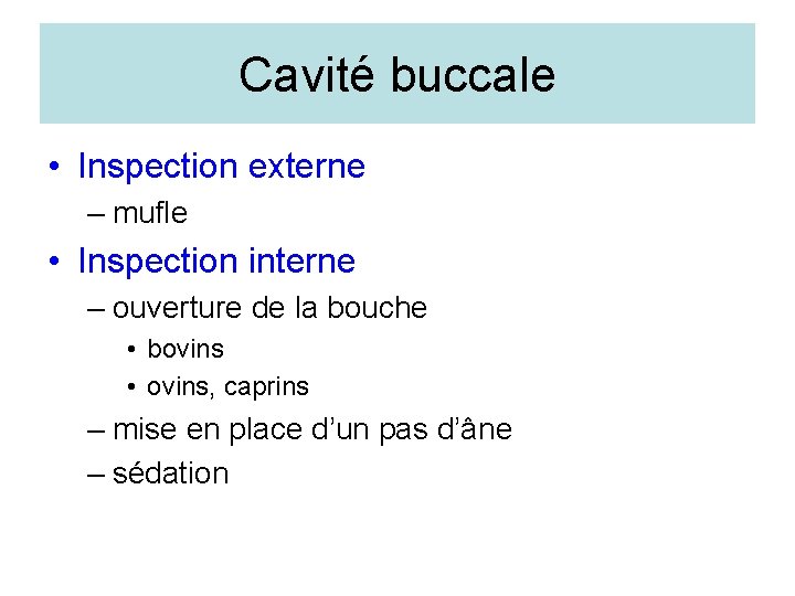 Cavité buccale • Inspection externe – mufle • Inspection interne – ouverture de la