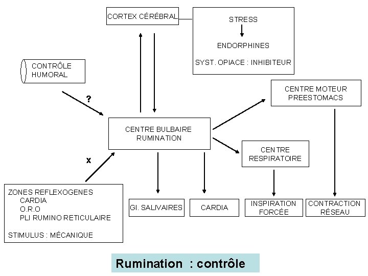 CORTEX CÉRÉBRAL STRESS ENDORPHINES SYST. OPIACE : INHIBITEUR CONTRÔLE HUMORAL CENTRE MOTEUR PREESTOMACS ?