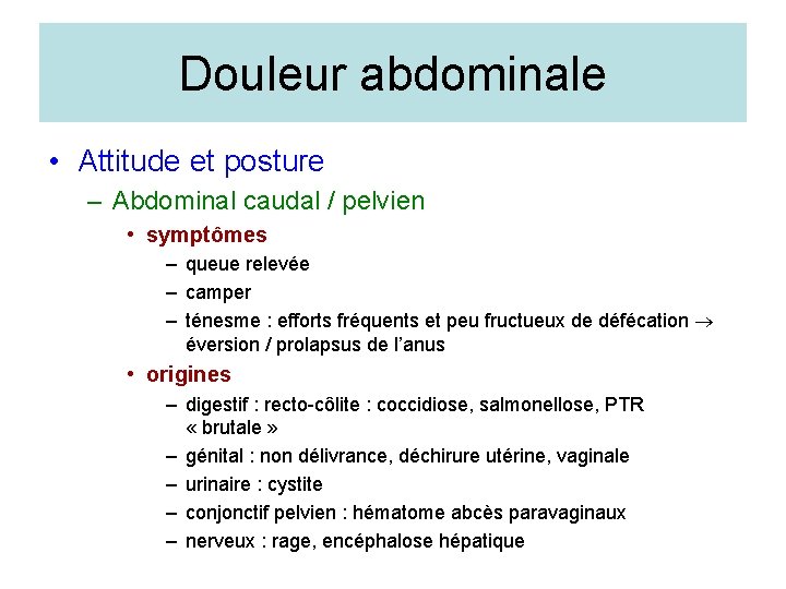 Douleur abdominale • Attitude et posture – Abdominal caudal / pelvien • symptômes –