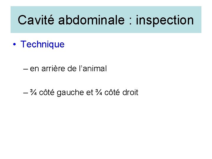 Cavité abdominale : inspection • Technique – en arrière de l’animal – ¾ côté