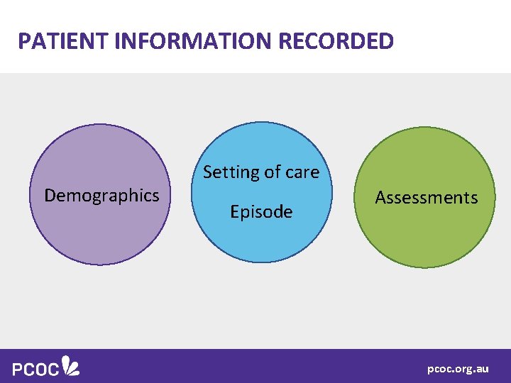 PATIENT INFORMATION RECORDED Demographics Setting care Setting of care Episode Demographics Assessments pcoc. org.