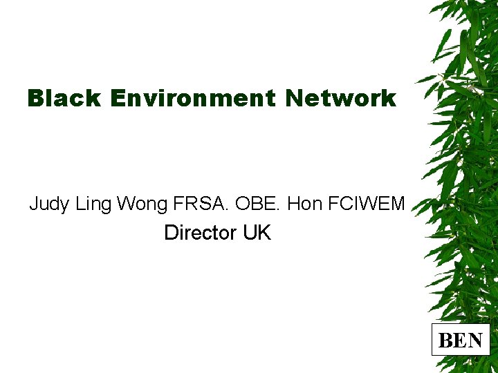 Black Environment Network Judy Ling Wong FRSA. OBE. Hon FCIWEM Director UK BEN 