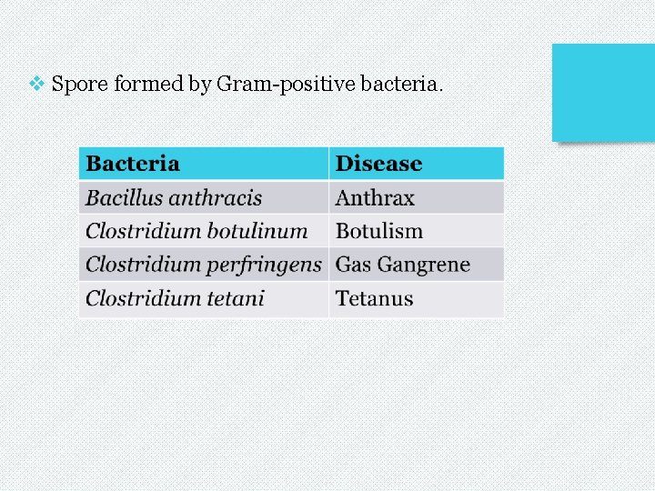 v Spore formed by Gram-positive bacteria. 